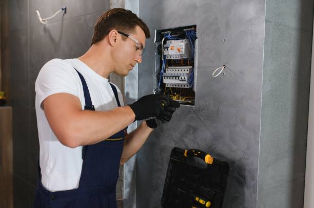 Best Electric Panel Repair  in Hilmar Irwin, CA